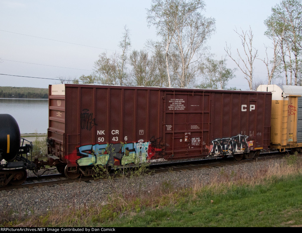 NKCR 50436